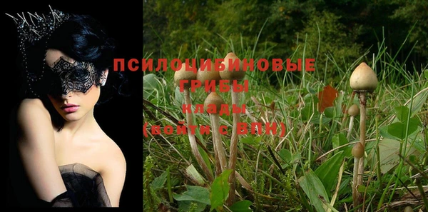 гашиш Абинск