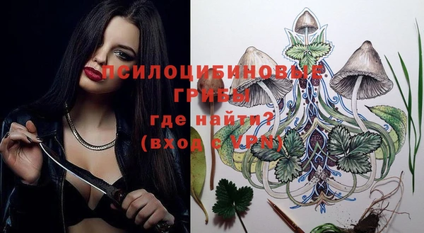 ECSTASY Абаза