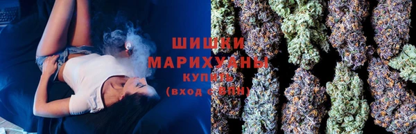 ECSTASY Абаза