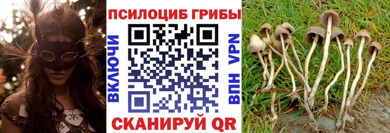 мориарти формула  Шиханы  Псилоцибиновые грибы мухоморы 